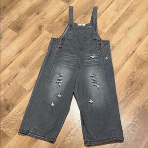 Three Bird Nest Charcoal Denim Overalls